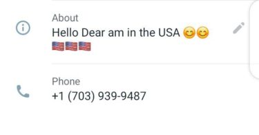 USA number for whatsapp