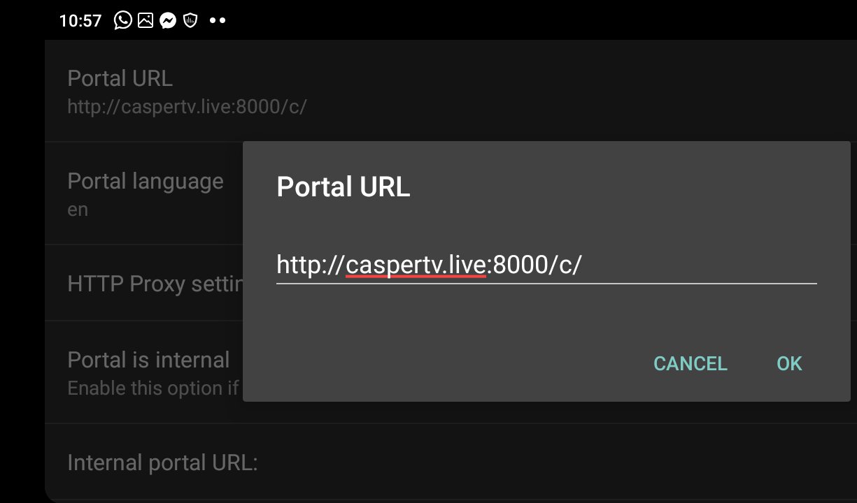 Portal url что это